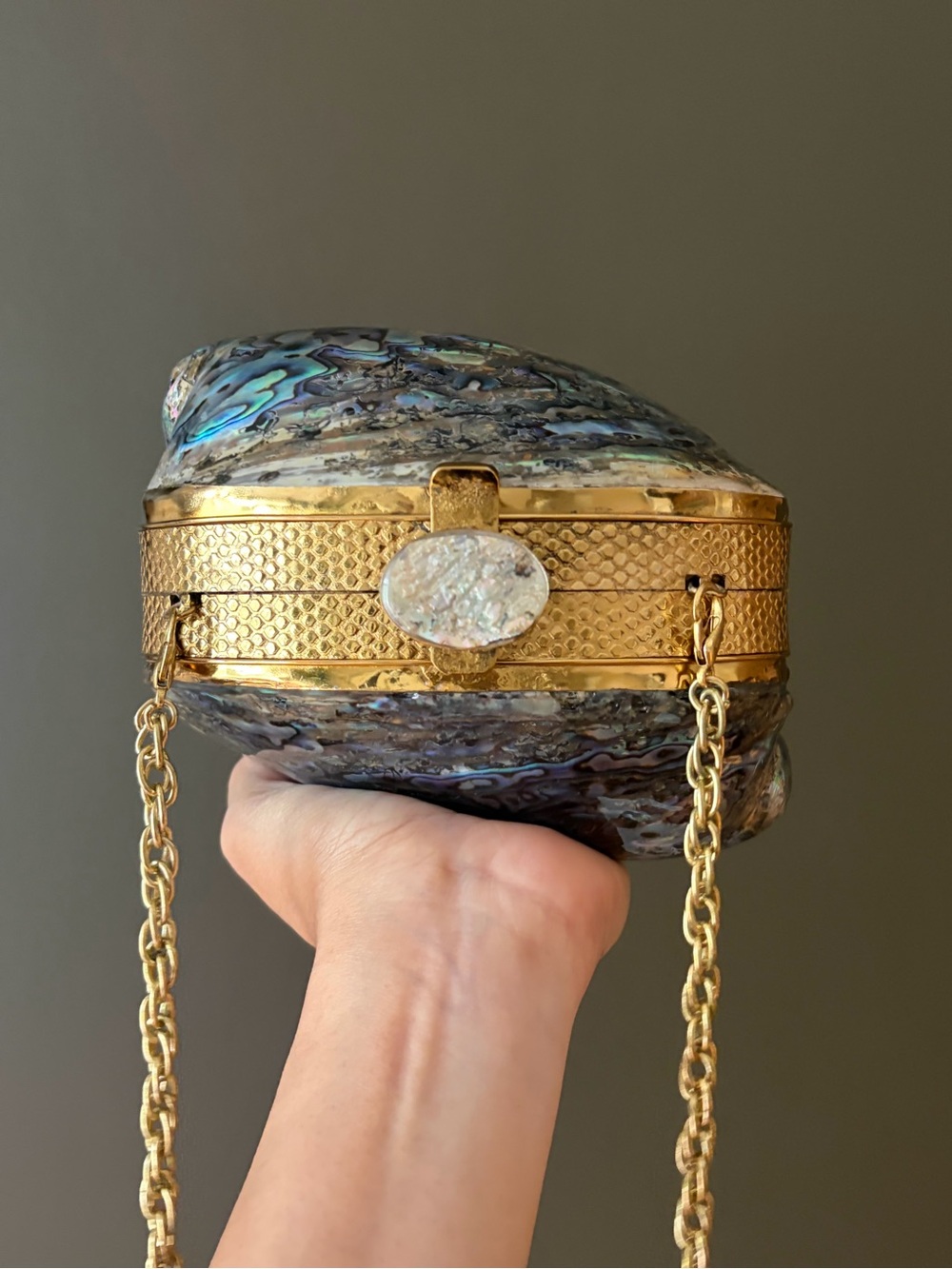 Gold Abalone Shell Minaudière Shoulder Bag